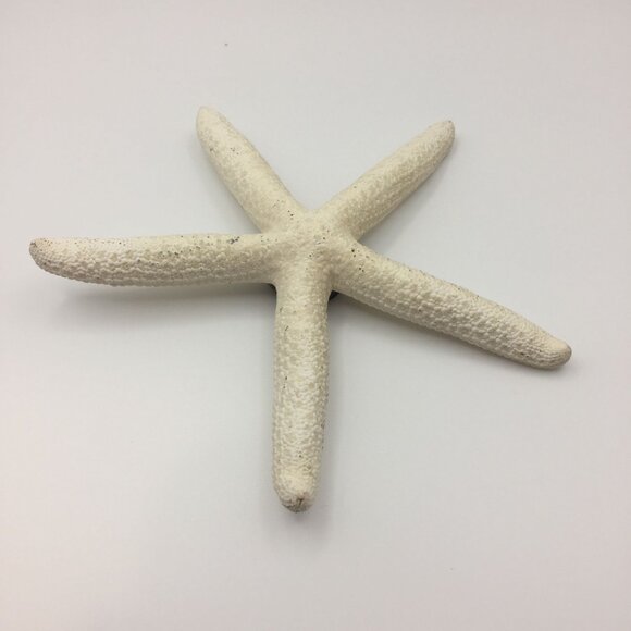 Vintage Set of 2 Seashell Magnets Starfish Sea Star Shell Hawaii Souvenir Fridge - Picture 2 of 10